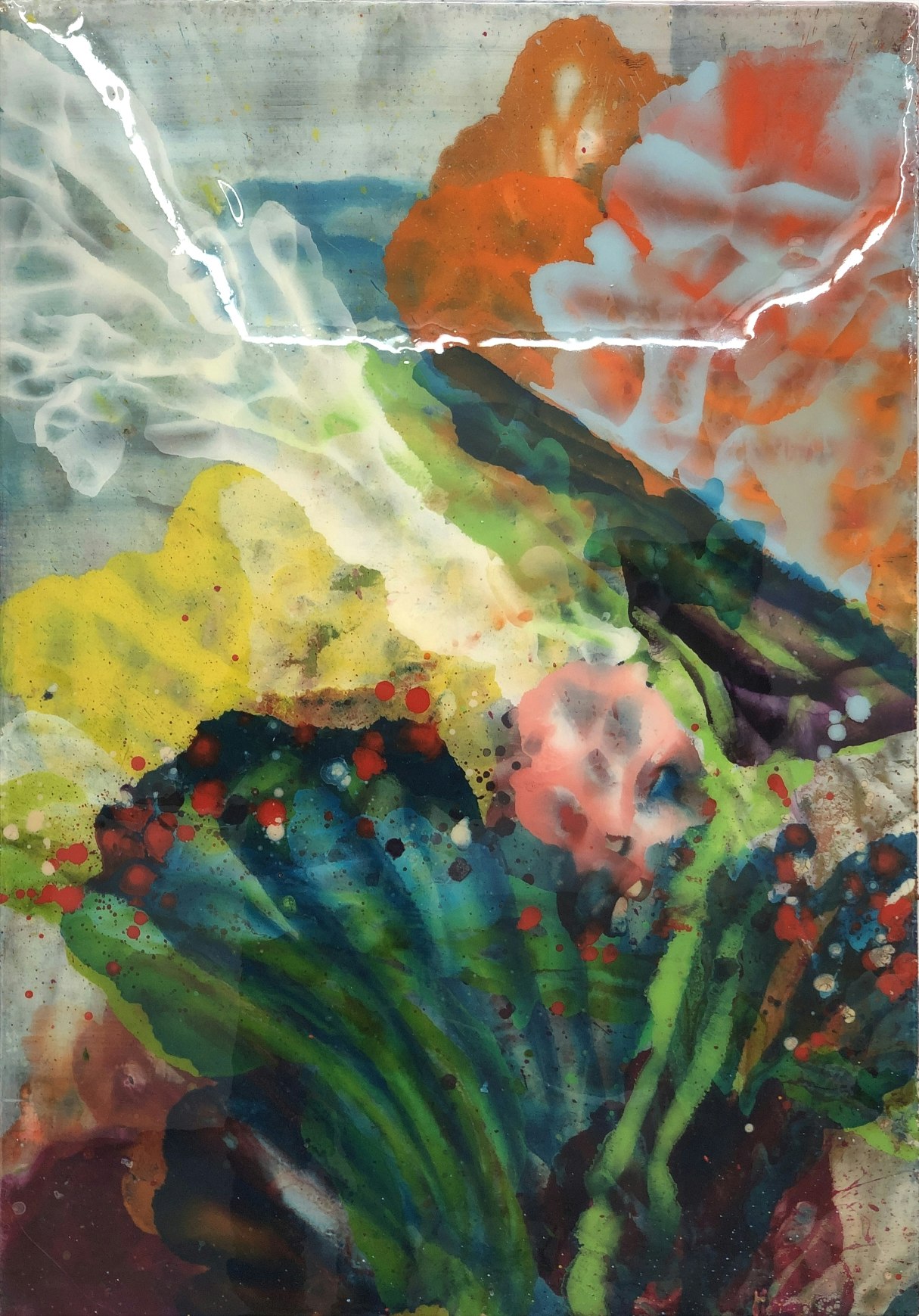 06-jansen